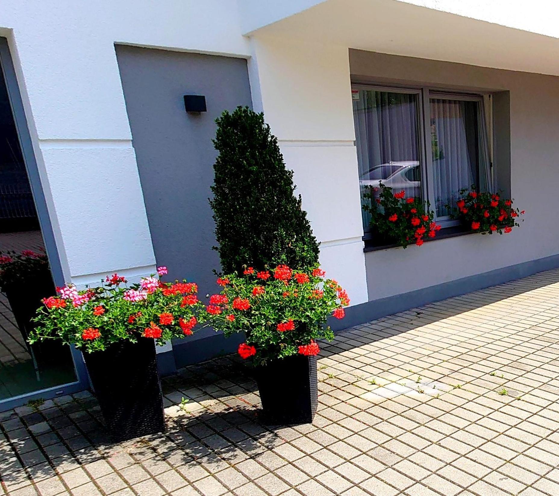 Willa Akacja Gdynia Exterior foto